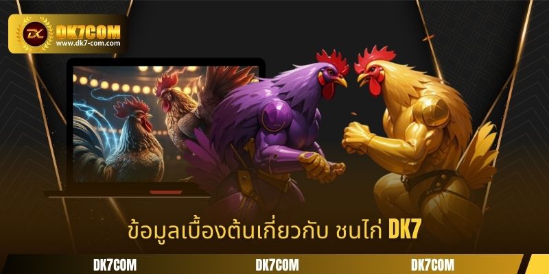 ข้อมูลเบื้องต้นเกี่ยวกับ ชนไก่ DK7