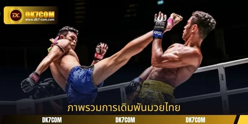 ภาพรวมการเดิมพันมวยไทย