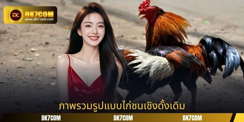 ภาพรวมรูปแบบไก่ชนเชิงดั้งเดิม