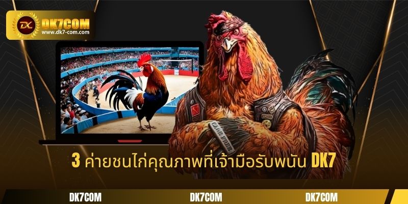 3 ค่ายชนไก่คุณภาพที่เจ้ามือรับพนัน DK7