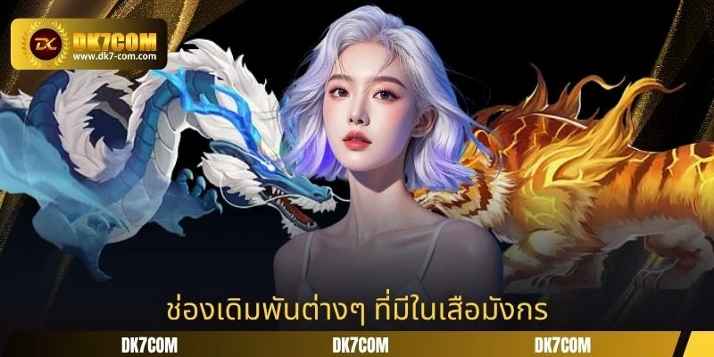 ช่องเดิมพันต่างๆ ที่มีในเสือมังกร