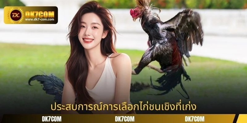 ประสบการณ์การเลือกไก่ชนเชิงที่เก่ง