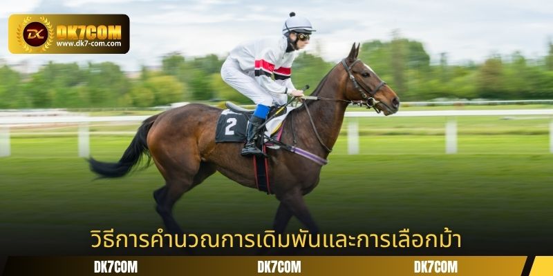 วิธีการคำนวณการเดิมพันและการเลือกม้า