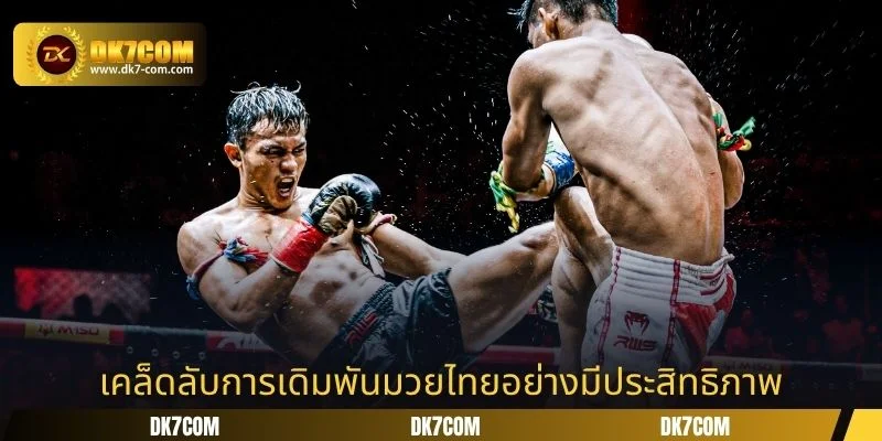 เคล็ดลับการเดิมพันมวยไทยอย่างมีประสิทธิภาพ