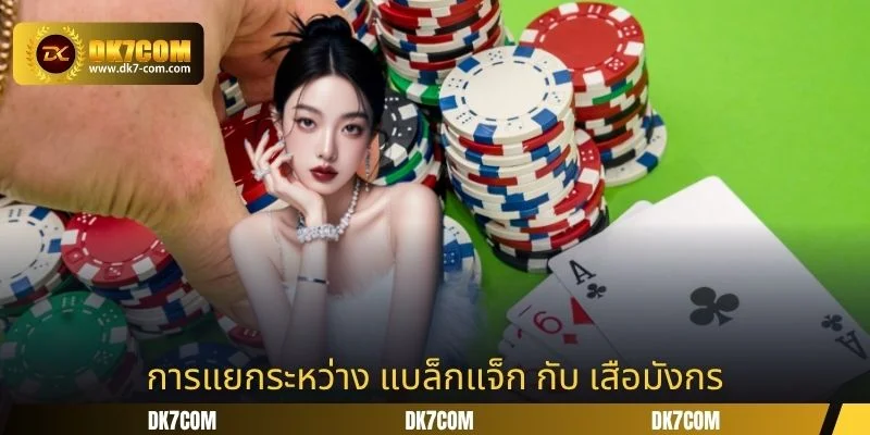 การแยกระหว่าง แบล็กแจ็ก กับ เสือมังกร