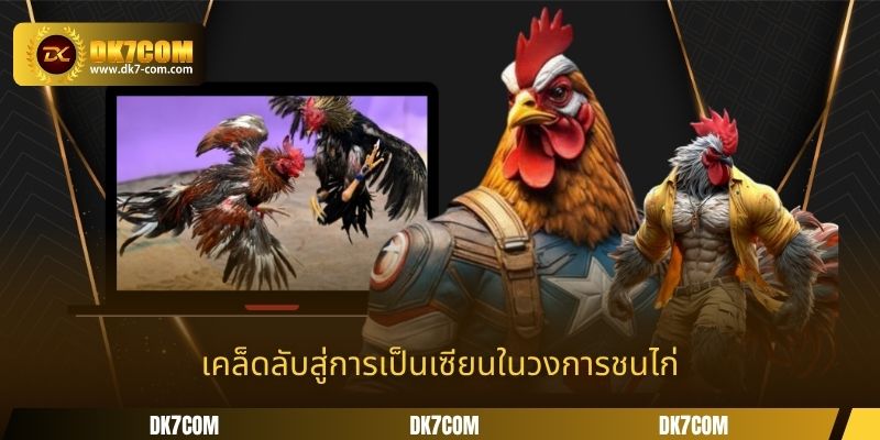 เคล็ดลับสู่การเป็นเซียนในวงการชนไก่